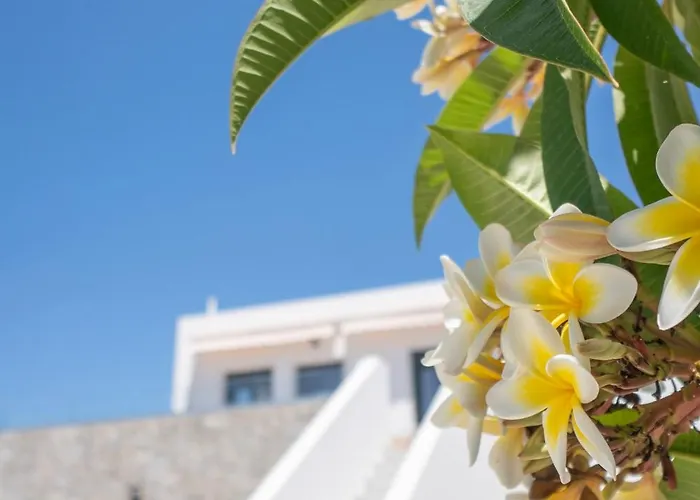 公寓 Majestic View - Outdoor Jacuzzi 阿尔卡萨